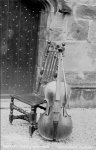 'Cello